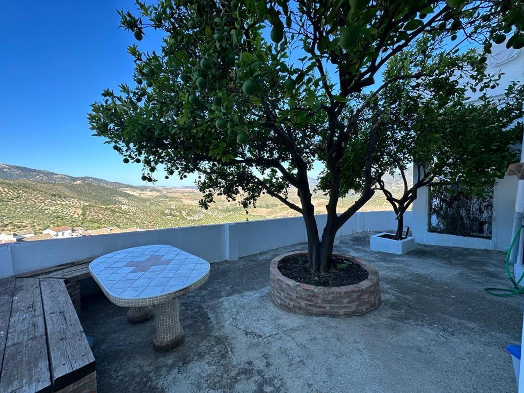 Apartament Antonia *