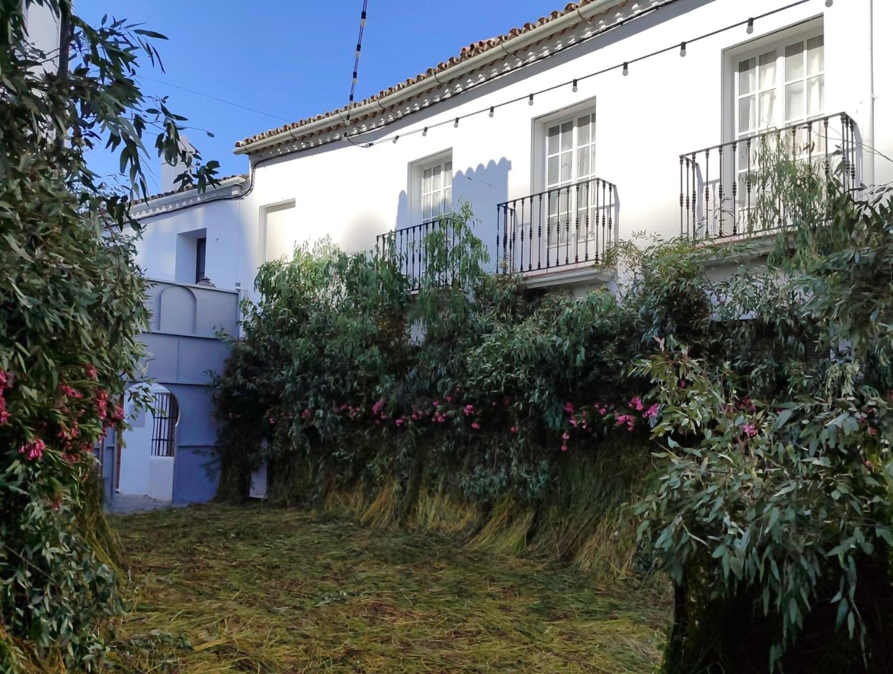 Apartment Antonia